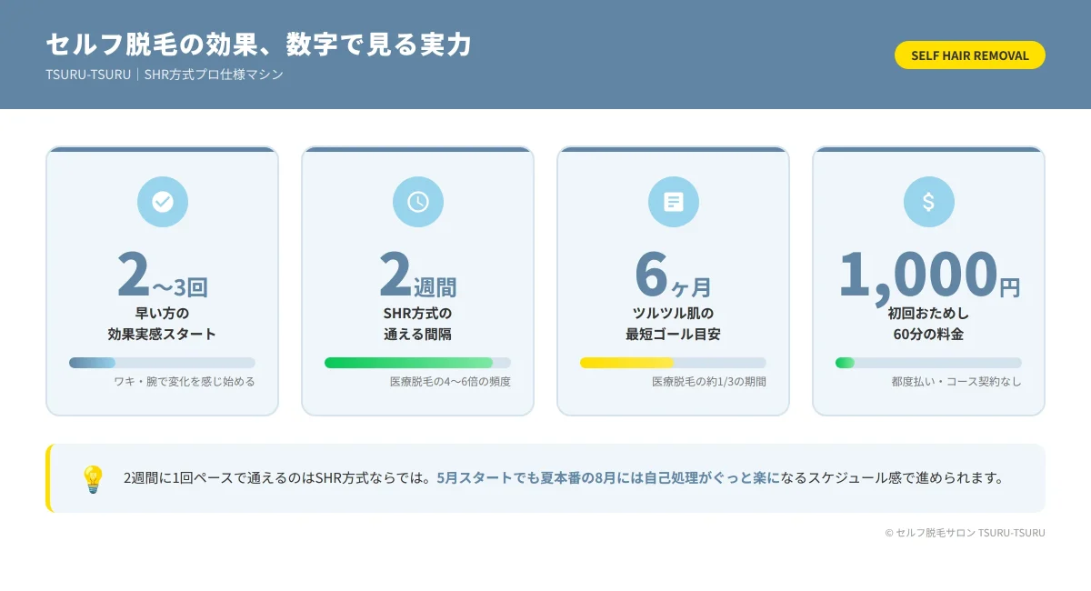 セルフ脱毛の効果を数字で解説-2〜3回で実感・2週間に1回・最短6ヶ月・初回1000円