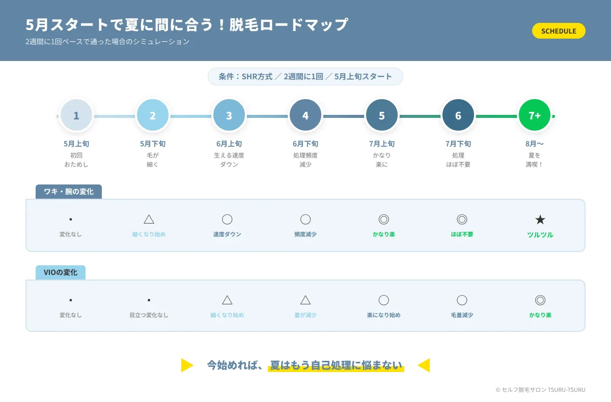 5月スタートのセルフ脱毛スケジュール-2週間に1回で夏に間に合うロードマップ