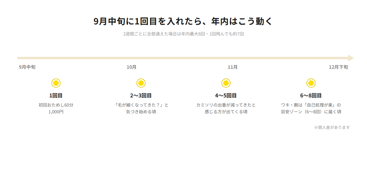 9月中旬に始めた場合の年内スケジュール。2週間ごとに全部通えた場合は12月末までに最大8回、1回飛んでも約7回。1回目は初回おためし60分1,000円、6〜8回目でワキ・腕は自己処理が楽の目安ゾーンに届く頃(個人差があります)
