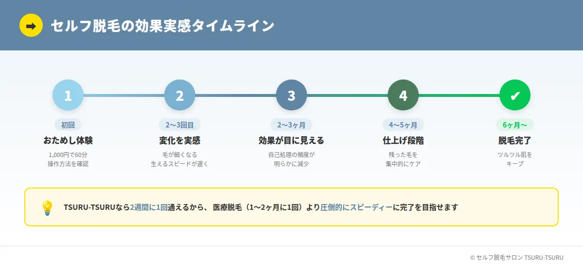 セルフ脱毛の効果実感タイムライン｜初回から最短6ヶ月で脱毛完了