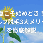 夏こそ始めどき！セルフ脱毛3大メリットを徹底解説